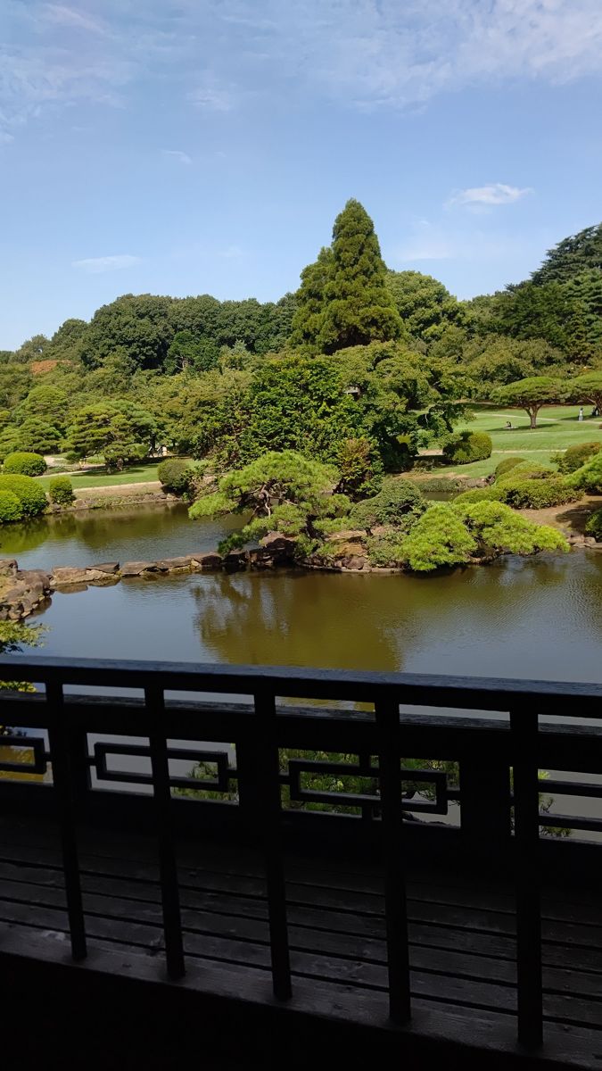 木の欄干ごしに見る日本庭園の池と、刈り込まれた松や樹木