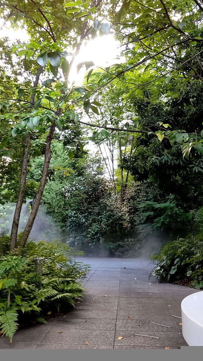 木々とシダに囲まれた石畳の園路に、霧のような水が漂っている