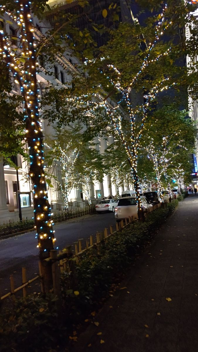 夜の通り。街路樹の幹と枝に白と青の電飾が巻かれ、奥まで光の並木が続く