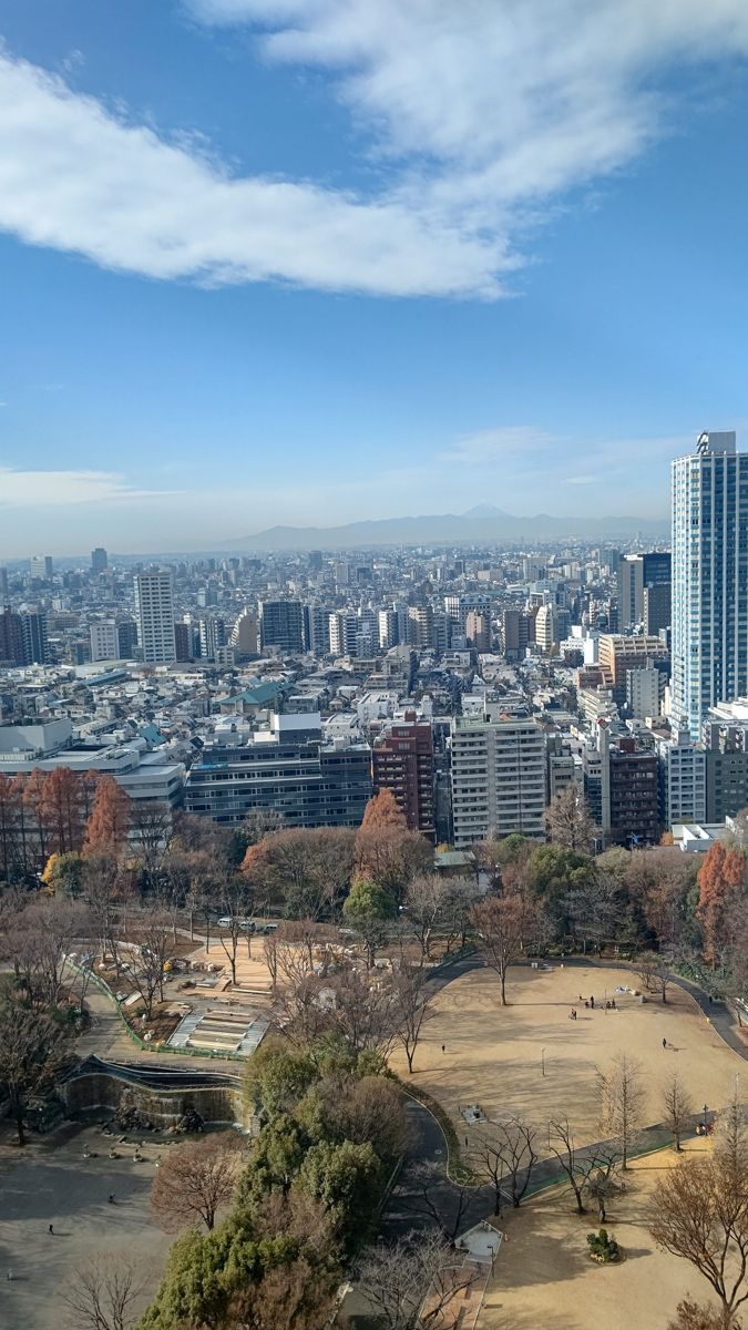 高い所から見下ろした冬枯れの公園。赤茶色に色づいた針葉樹と葉を落とした木々、左手に工事中の区画、遠くに富士山