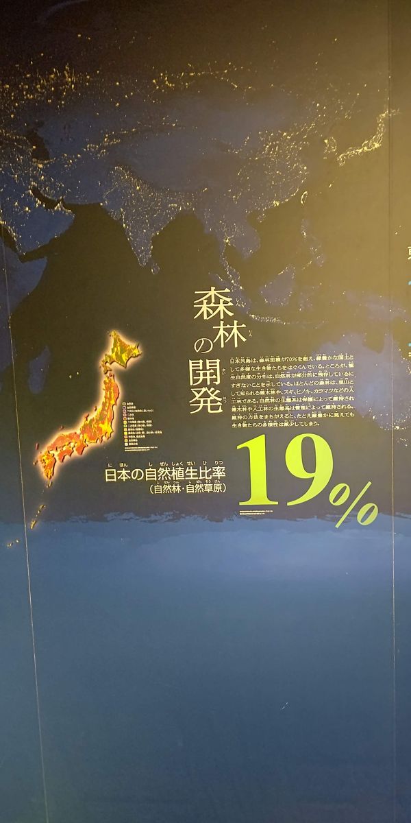 暗い壁の展示パネル。光る日本地図の横に「森林の開発」「日本の自然植生比率(自然林・自然草原)19%」の文字
